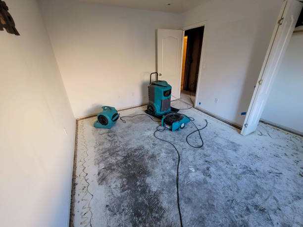 Valdez, AK Water damage restoration Company